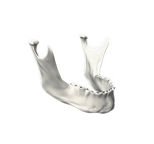 Bone Graft Procedures